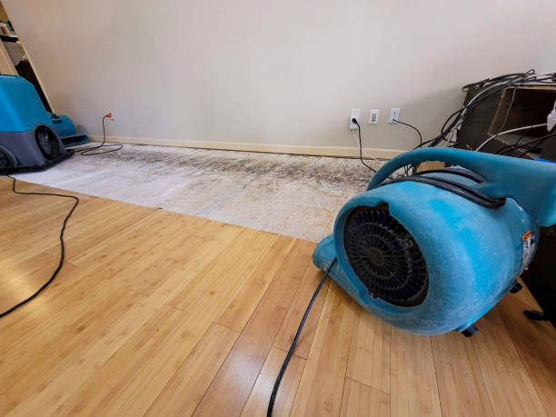 Professional Structural Drying technician working in Centerville, SC